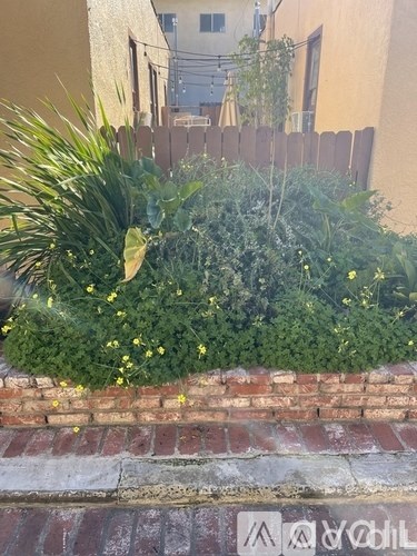 A garden with a brick wall and a variety of plants.