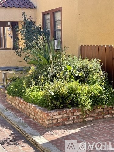 A small garden with a variety of plants and a brick border.