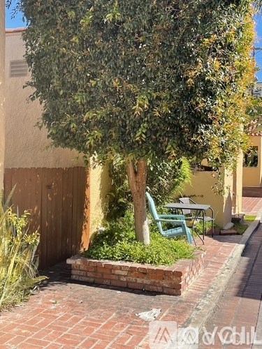 A tree in a planter box in front of a house.