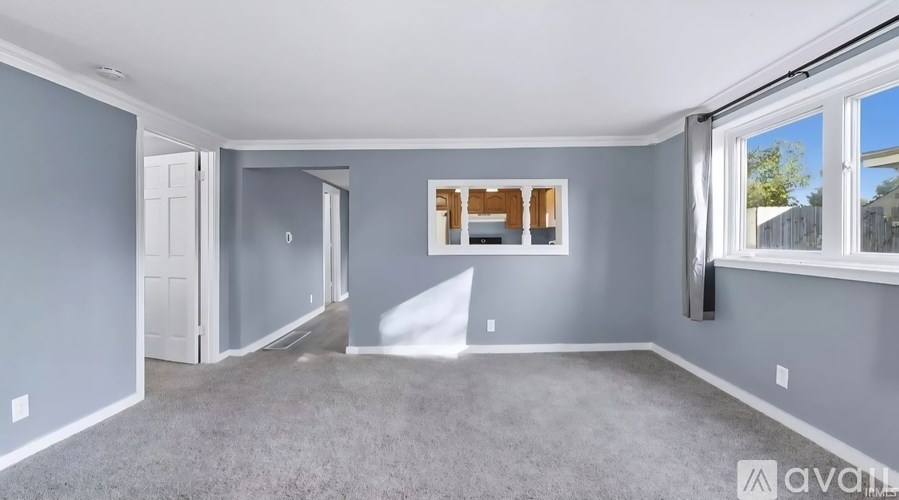 A spacious room with grey walls and carpet flooring, featuring a large window with a view of the outdoors.