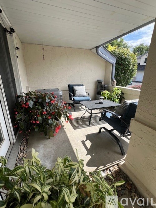 A patio with a table, chairs, and plants.