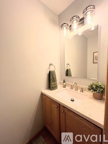 A bathroom with a sink, mirror, and a plant.