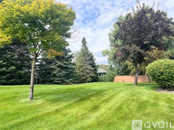 A tree with yellow flowers stands in a grassy field.
