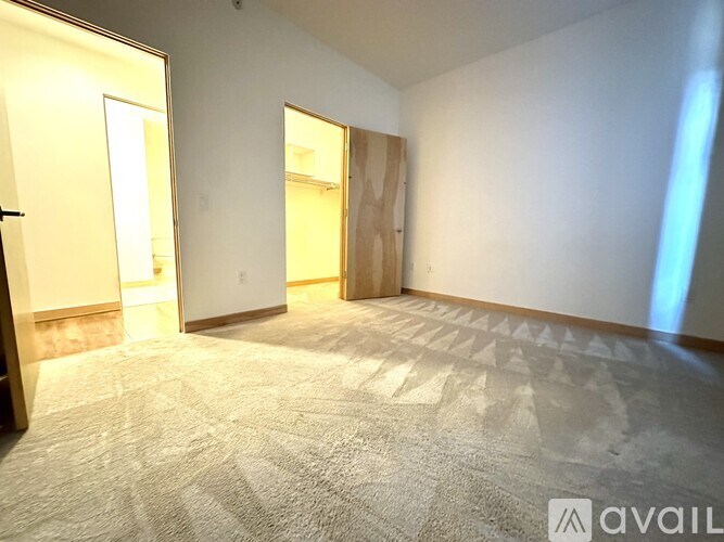 A carpeted room with two doors and a window.