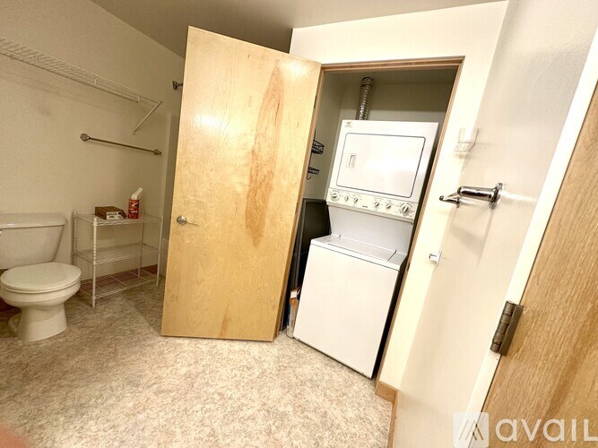A small room with a toilet, a washing machine, and a wooden door.