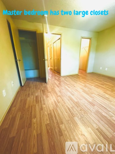 A master bedroom with two large closets.