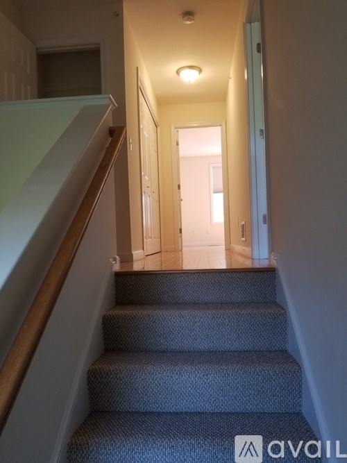 A staircase with a carpeted runner and wooden handrail.