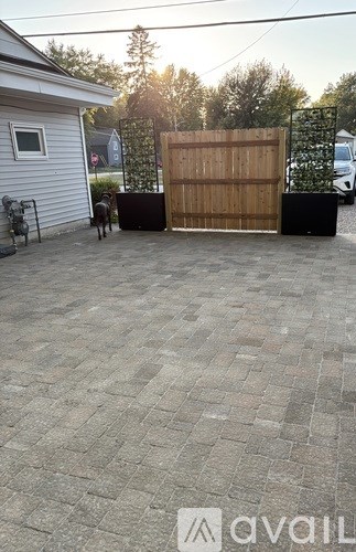 A dog is standing in a driveway in front of a house.