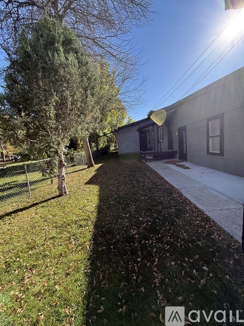 A sunny day with a house and a tree in the background.