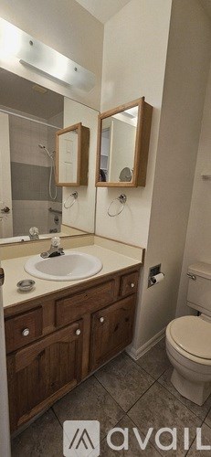 A bathroom with a sink, mirror, and toilet.