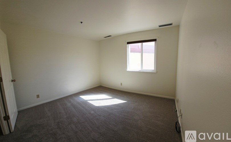 A room with a carpeted floor and a window letting in sunlight.