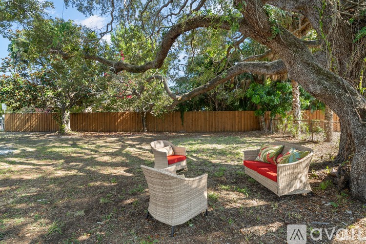 Two wicker chairs are placed under a large tree in a backyard.