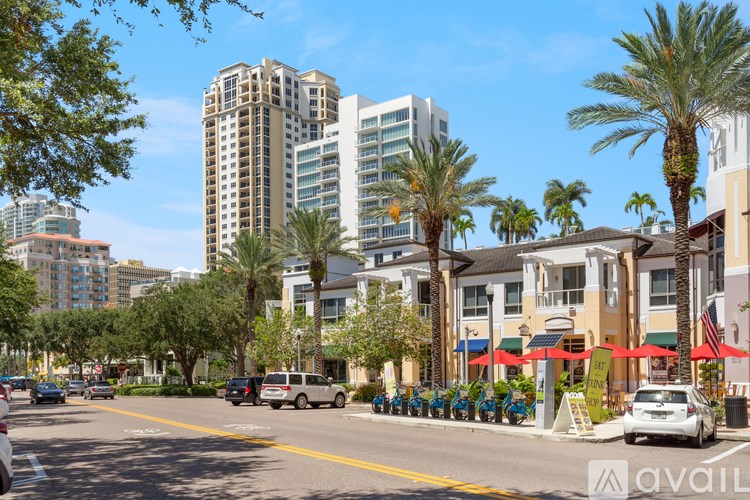 A street view with palm trees and buildings in the background.