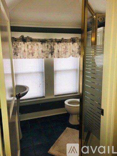 A bathroom with a toilet, sink, and a window with a lace valance.