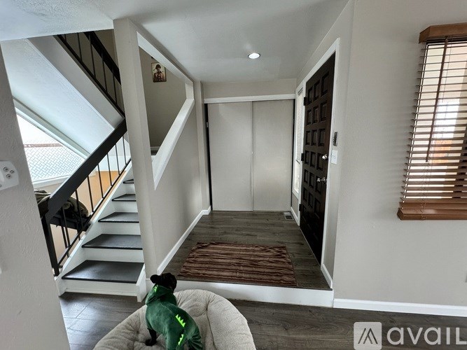 A dog wearing a green jacket is sitting on a grey armchair in a room with a staircase.