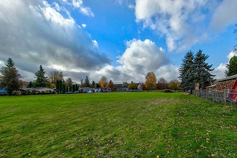 A large grassy field with trees and a cloudy sky.