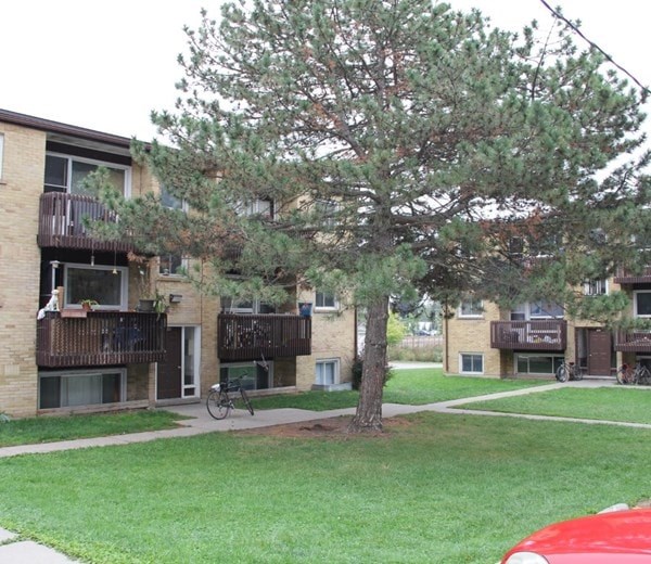 A tree in front of apartment buildings.