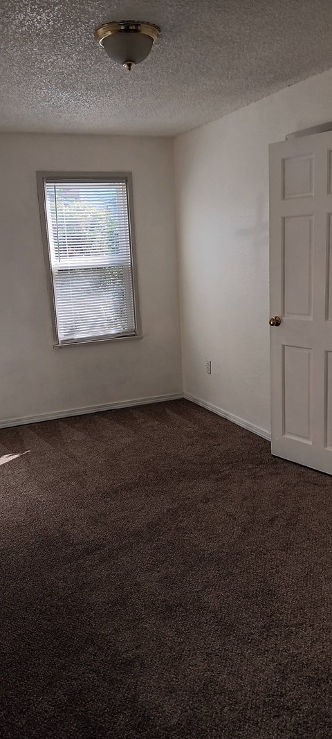 A room with a brown carpet and a white door.