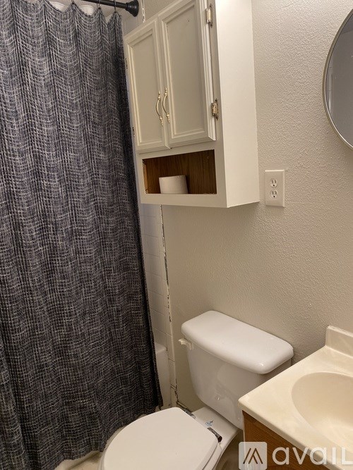 A bathroom with a toilet, sink, and shower curtain.
