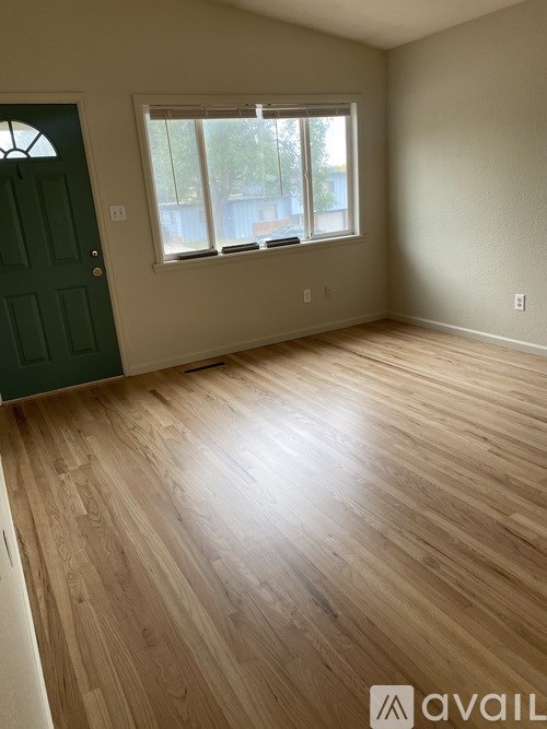 A room with wooden flooring and a green door.