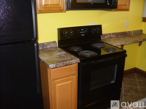 A black stove top oven with four burners and a black refrigerator in a kitchen.