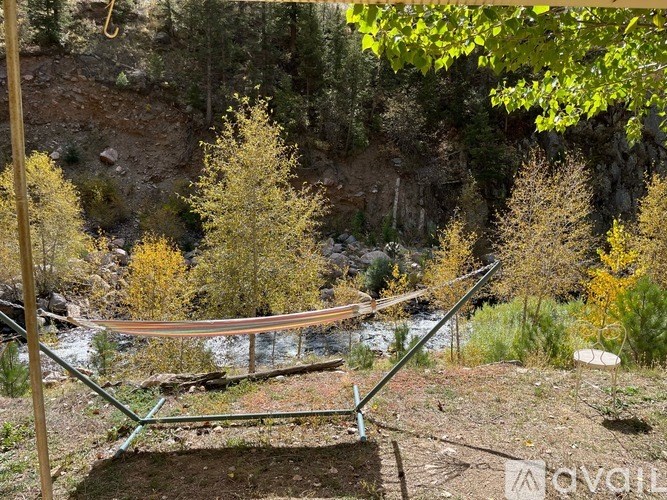 A bridge over a river in a forest.