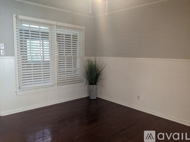 A room with a plant in a pot and a window with blinds.