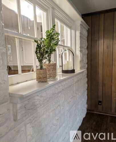 A white stone wall with a plant on top and a wooden door in the background.