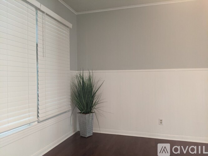 A room with a plant in a pot and a window with blinds.