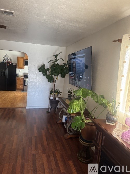 A living room with a TV and a potted plant.