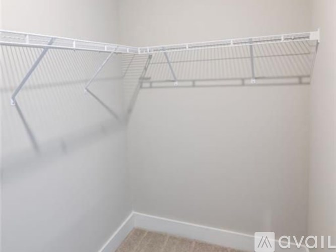 Empty white closet with a carpeted floor.