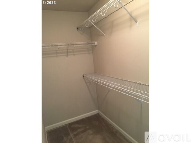 Empty walk-in closet with shelves and a white wall.
