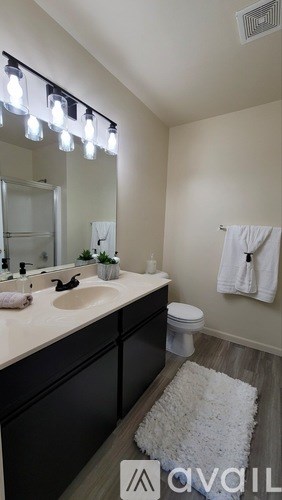 A bathroom with a sink, mirror, toilet and rug.