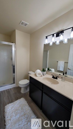 A bathroom with a toilet, sink, mirror, and a rug.