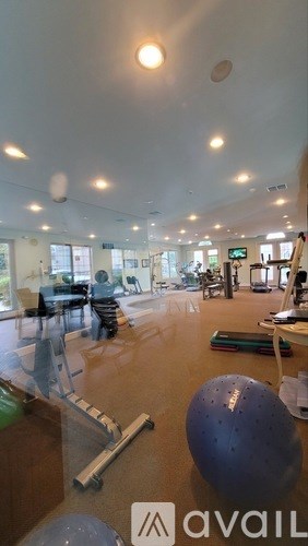 A gym with a blue ball in the foreground.