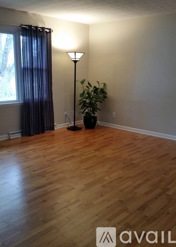 A room with wooden flooring and a plant.