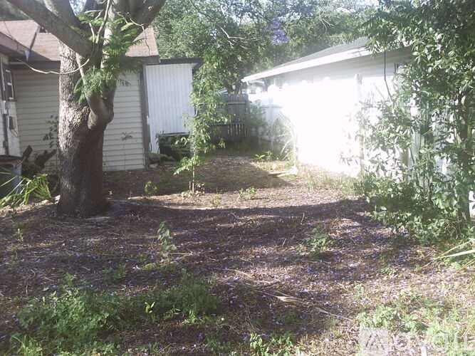 A backyard with a tree and a shed.