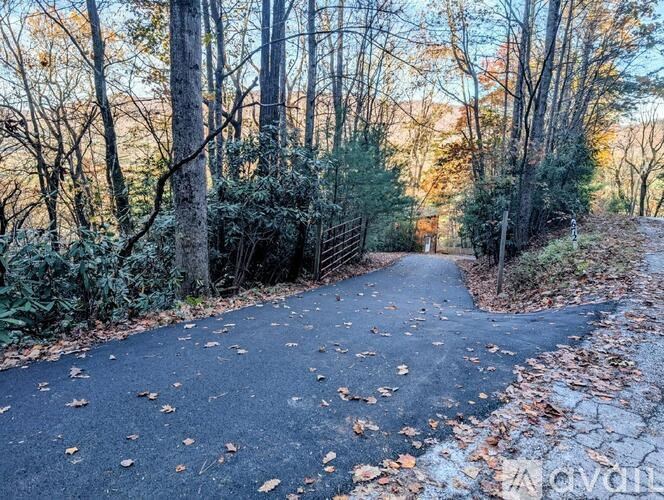 A paved path in a wooded area with fallen leaves on the ground.