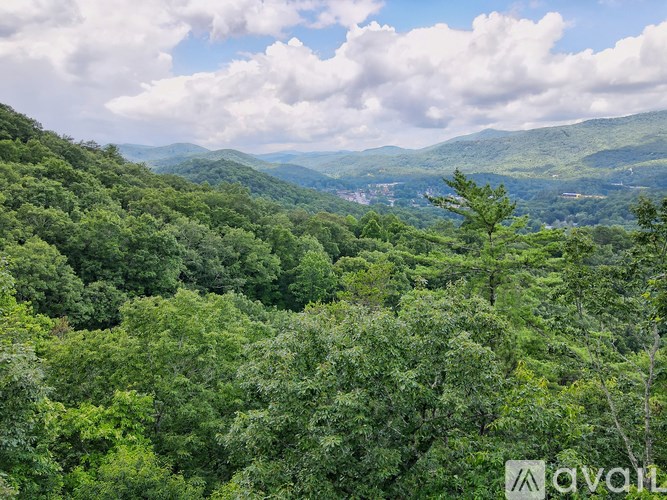 A lush green forest with a view of the mountains in the distance.