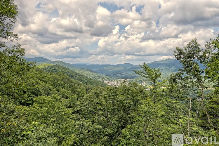 A lush green forest with a view of the mountains in the distance.