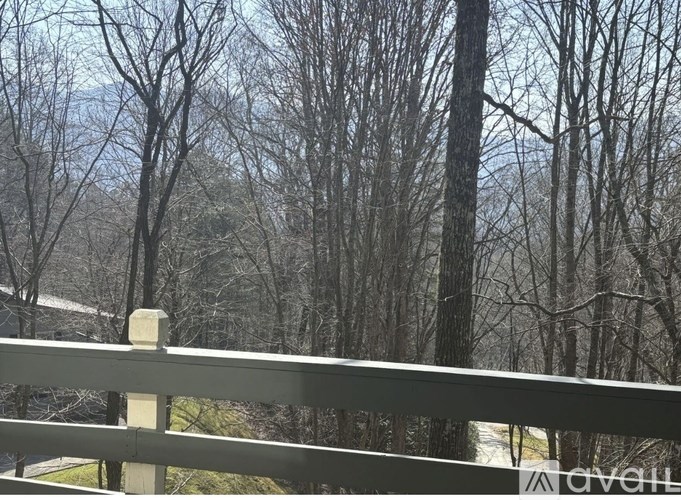 A metal fence with a post on top is in the foreground of a wooded area.
