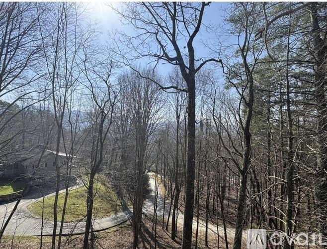 A sunny day in a wooded area with a house in the background.