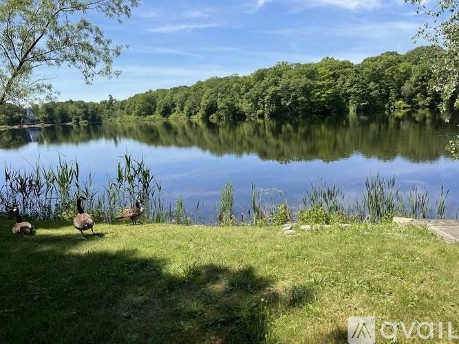 A serene lake surrounded by lush greenery and a clear blue sky.