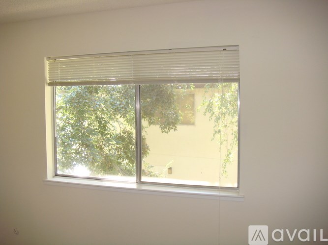 A window with blinds and a view of trees outside.