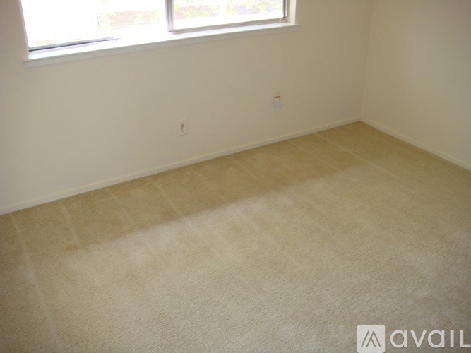 A room with a carpeted floor and a window.