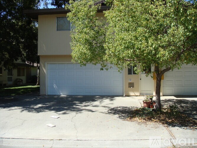 A tree in front of a garage door.