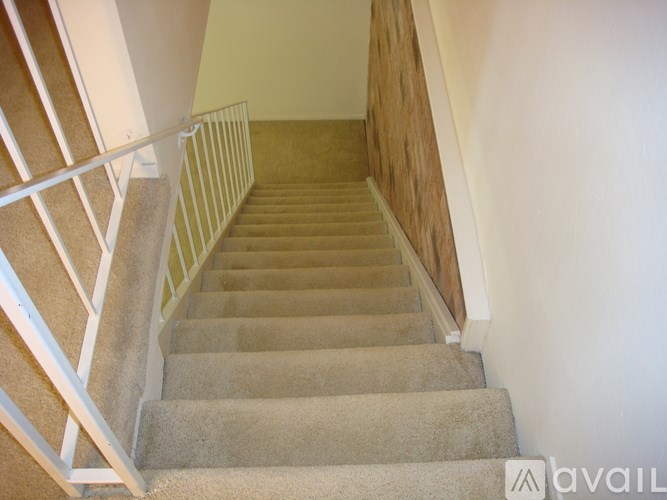 A staircase with beige carpeted steps and white railings.