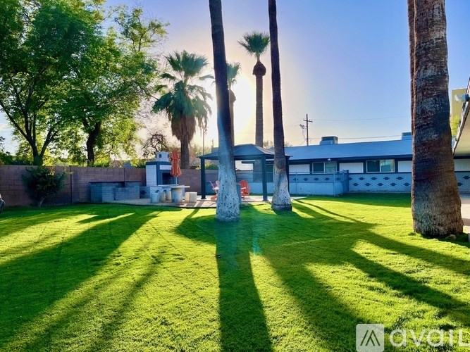A sunny backyard with a palm tree and a lawn.