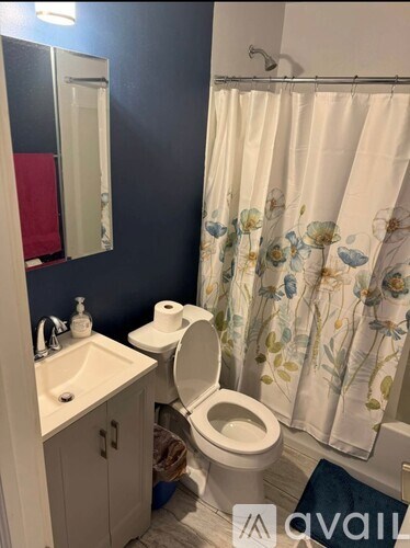 A bathroom with a toilet, sink, and shower curtain.