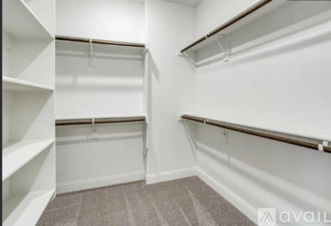 A white closet with shelves and a carpeted floor.